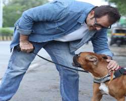 He is an animal lover and enjoys spending time with them.